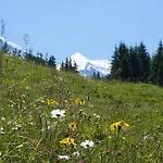 فندق Alpenkraeuter Baeren 3*