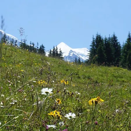 호텔 Alpenkraeuter Baeren 3*