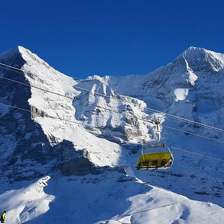 호텔 Alpenkraeuter Baeren