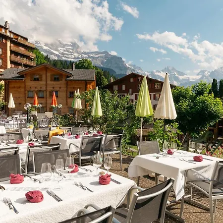 Alpenkraeuter Baeren