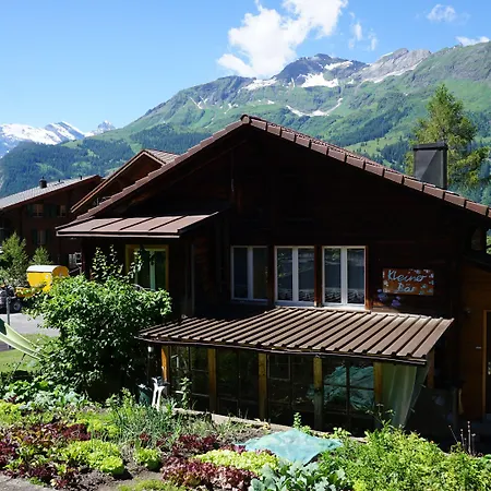 Alpenkraeuter Baeren 3*