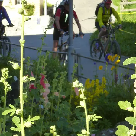 Alpenkraeuter Baeren