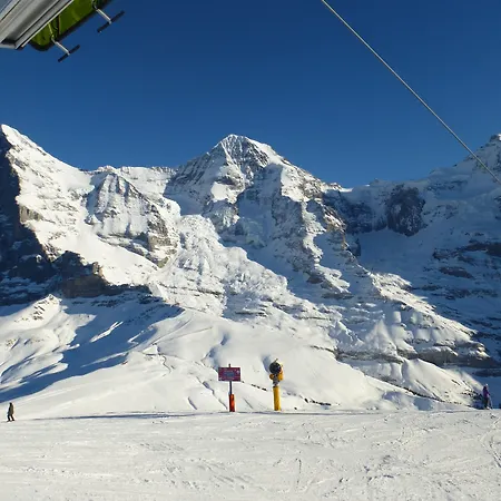 호텔 Alpenkraeuter Baeren 3*