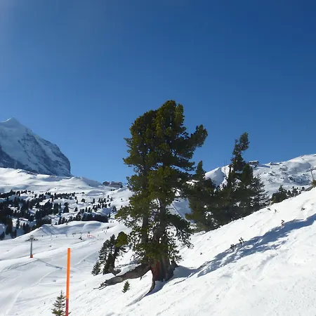 Alpenkraeuter Baeren Отель