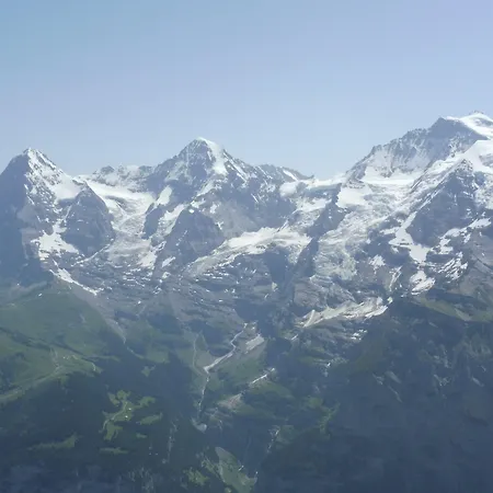 Alpenkraeuter Baeren Венген