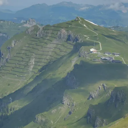 Hotel Alpenkraeuter Baeren Wengen