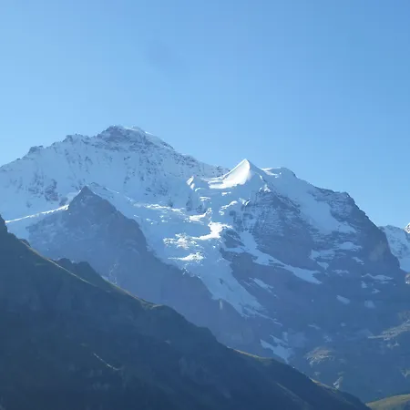 Alpenkraeuter Baeren