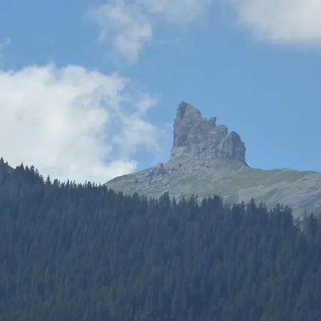 מלון Alpenkraeuter Baeren