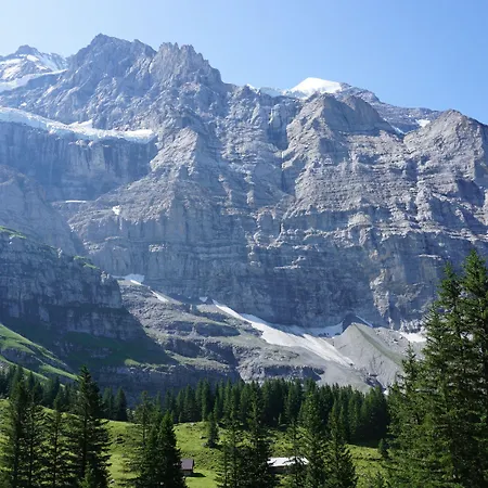 Alpenkraeuter Baeren 호텔 벤겐