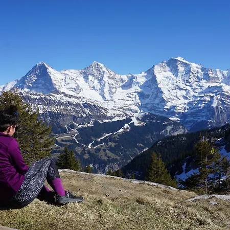 Alpenkraeuter Baeren 3* וונגן