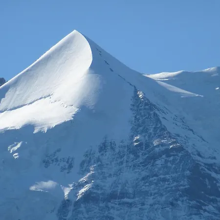 Alpenkraeuter Baeren 3*