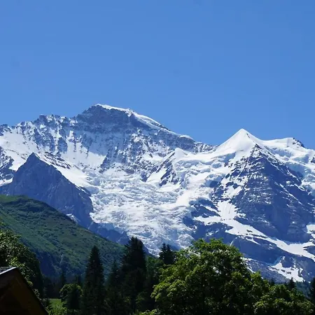 Alpenkraeuter Baeren 3* Wengen