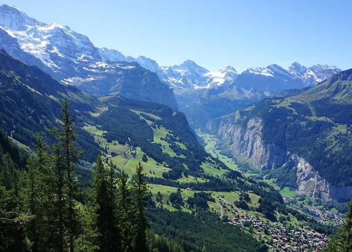 Alpenkraeuter Baeren Wengen