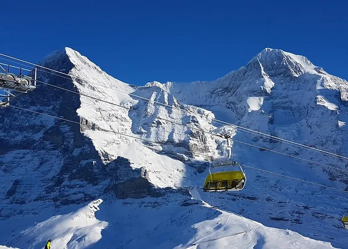 Hotel Alpenkraeuter Baeren