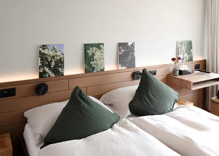 Hotel Alpenkraeuter Baeren Wengen