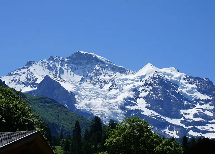 Alpenkraeuter Baeren 3* Wengen