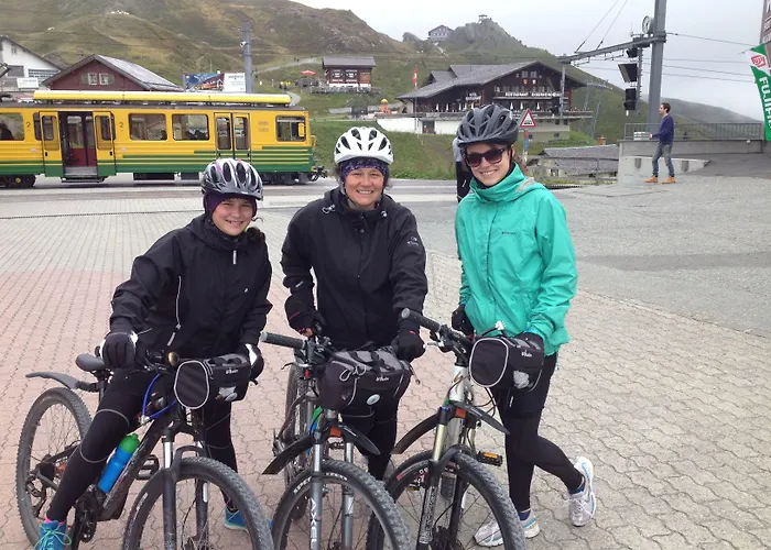 Alpenkraeuter Baeren