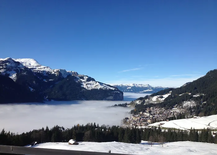 Alpenkraeuter Baeren Hotel