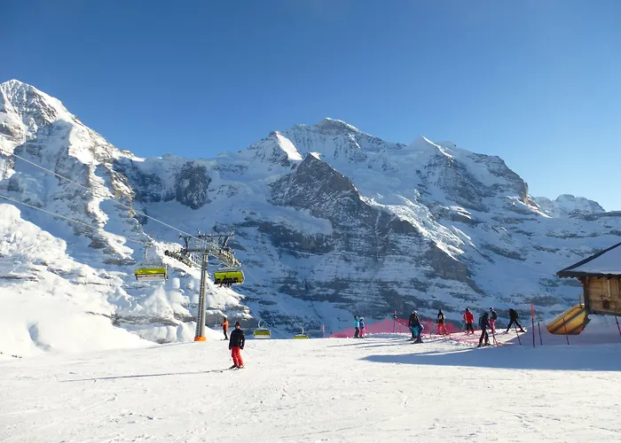 Alpenkraeuter Baeren Hotel