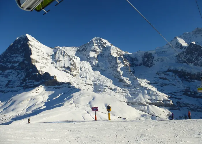Hotel Alpenkraeuter Baeren 3*