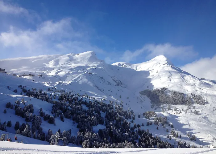 Hotel Alpenkraeuter Baeren Wengen