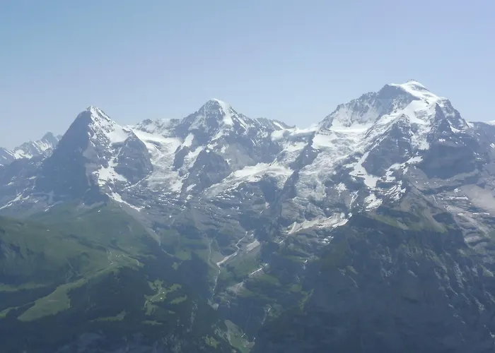 Alpenkraeuter Baeren Wengen