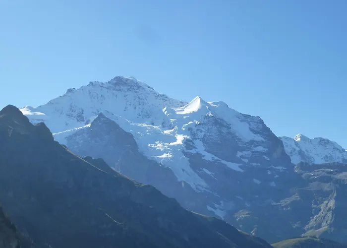 Alpenkraeuter Baeren