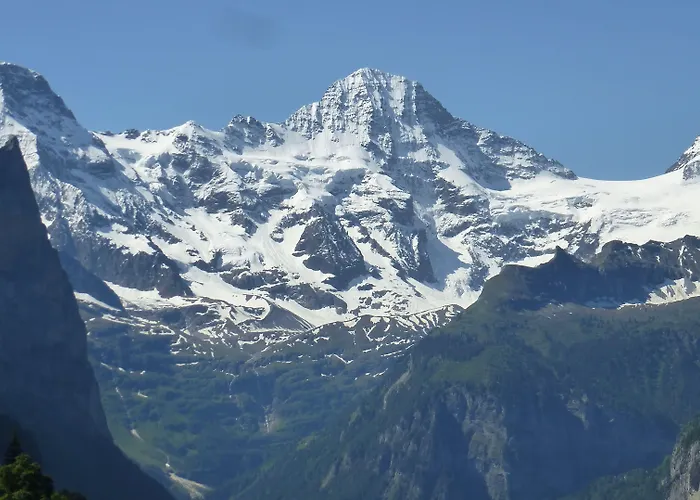 Hotel Alpenkraeuter Baeren Wengen