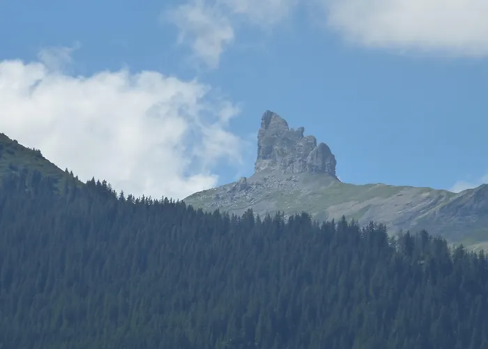 Hotel Alpenkraeuter Baeren