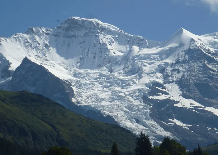 Alpenkraeuter Baeren Hotel