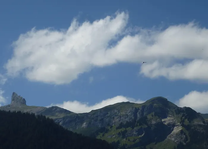 Alpenkraeuter Baeren 3*