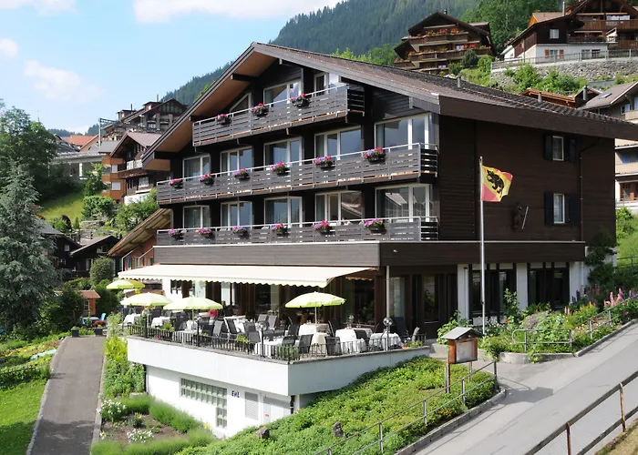 Alpenkraeuter Baeren Wengen