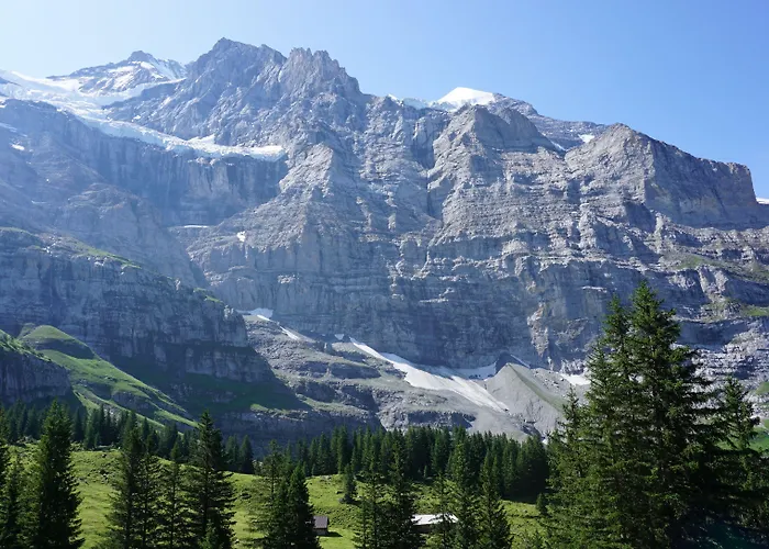 Alpenkraeuter Baeren Hotel Wengen