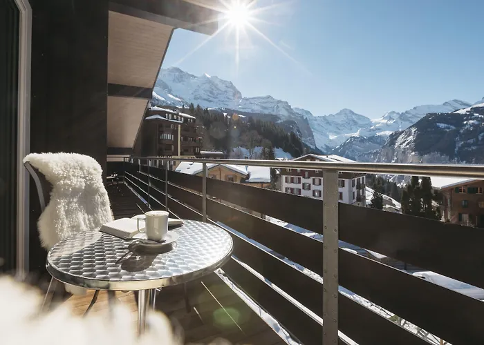 Hotel Alpenkraeuter Baeren 3*