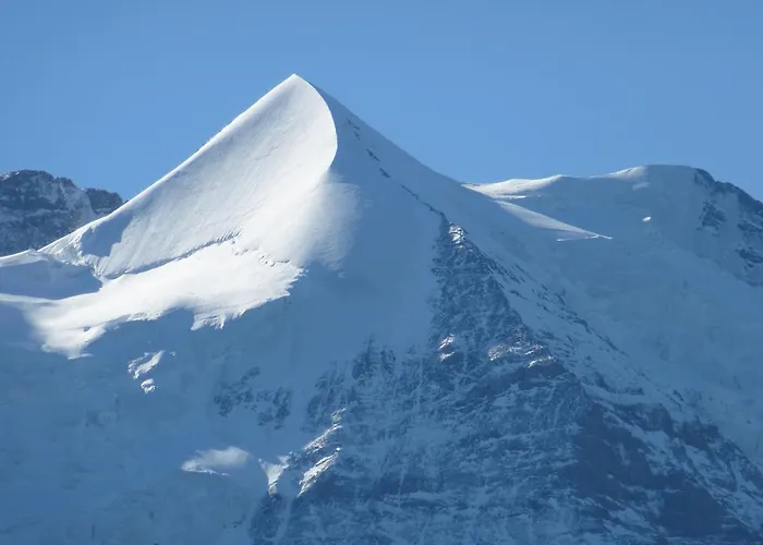 Alpenkraeuter Baeren 3*