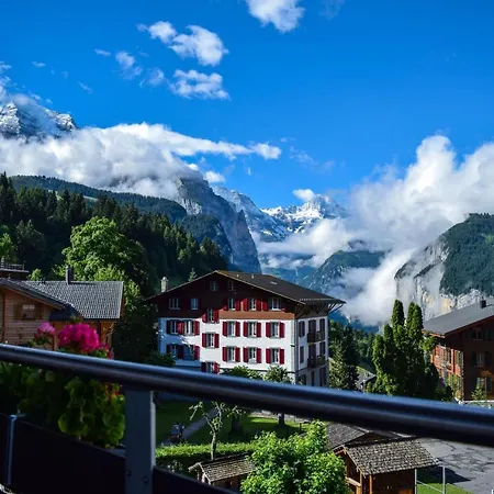 Alpenkraeuter Baeren Wengen