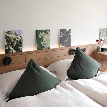 Hotel Alpenkraeuter Baeren Wengen