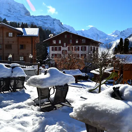 Alpenkraeuter Baeren Hotel