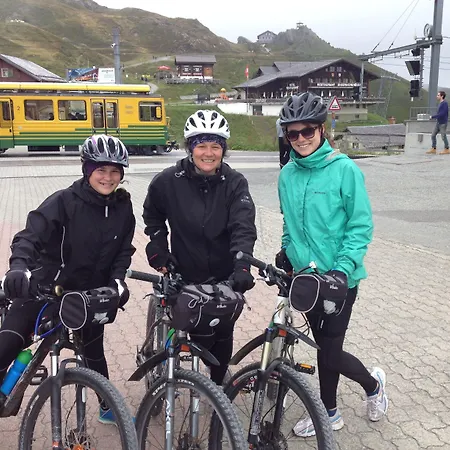 Alpenkraeuter Baeren