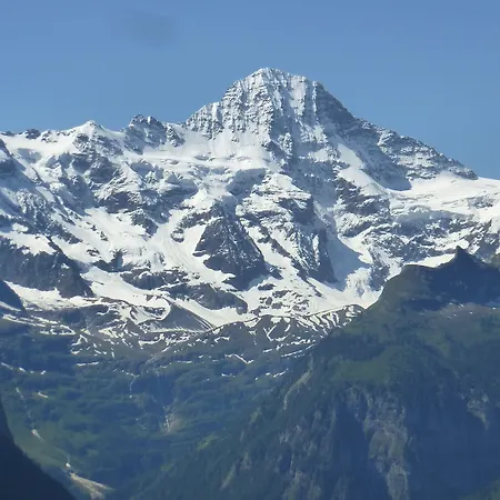 Hotel Alpenkraeuter Baeren Wengen