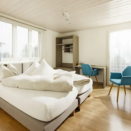 Alpenkraeuter Baeren Hotel Wengen