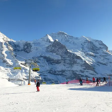 Alpenkraeuter Baeren Hotel Wengen