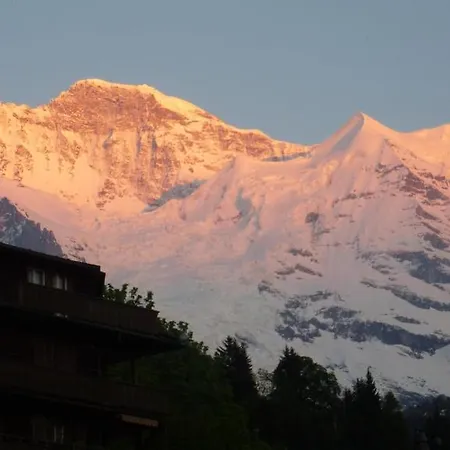 Hotel Alpenkraeuter Baeren Wengen