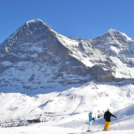 Alpenkraeuter Baeren 3* Wengen