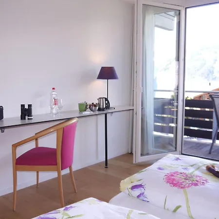 Hotel Alpenkraeuter Baeren