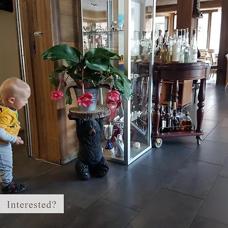 Hotel Alpenkraeuter Baeren 3*