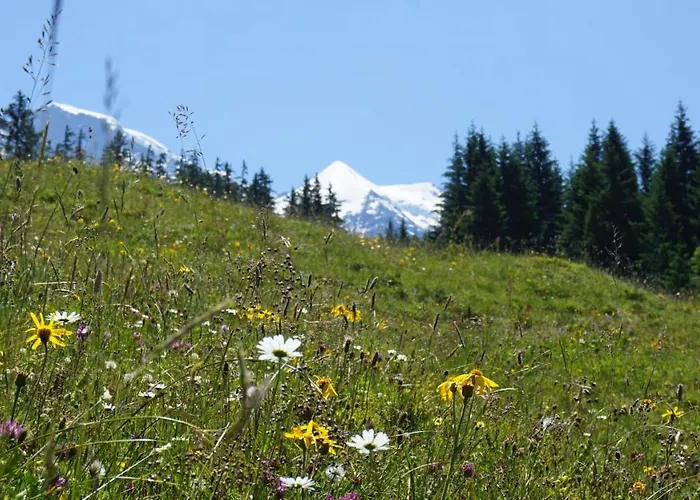 Hotell Alpenkräuter Bären 3*