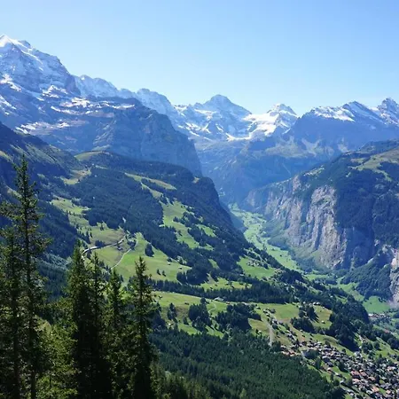 Alpenkraeuter Baeren Wengen