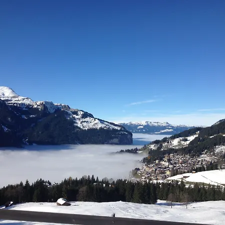 Alpenkraeuter Baeren Hotel