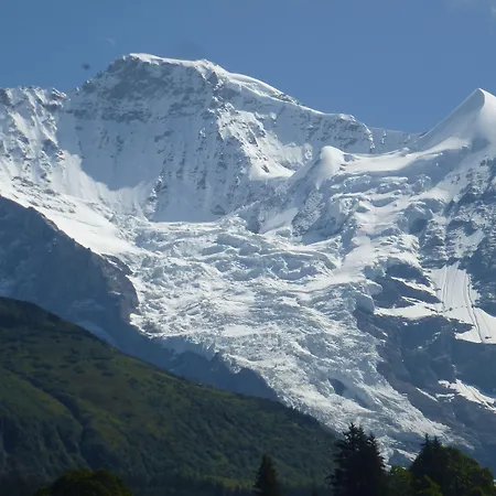 Alpenkraeuter Baeren Hotel